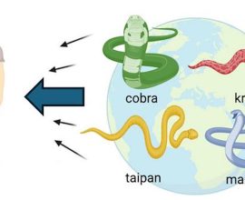 From Survivor to Savior: How One Man's Quest for Immunity Unleashed a Breakthrough Antidote Against 19 of Nature's Deadliest Snakes