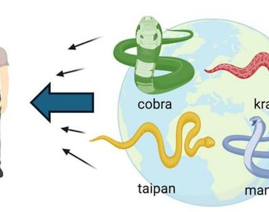 From Survivor to Savior: How One Man's Quest for Immunity Unleashed a Breakthrough Antidote Against 19 of Nature's Deadliest Snakes