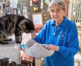 Heart of Gold: How a 90-Year-Old Woman Transformed the Lives of 10,000 Animals with Love and Compassion