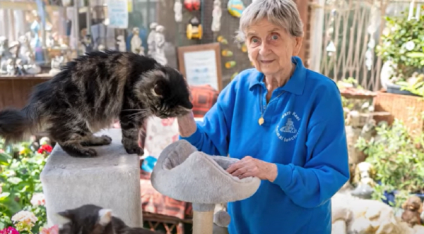 Heart of Gold: How a 90-Year-Old Woman Transformed the Lives of 10,000 Animals with Love and Compassion