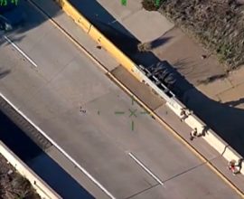 Heartwarming Rescue: Brave Heroes Save Missing Autistic Child from Danger on Bustling Freeway