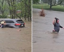 Heroic Leap: Watch as a Brave Man Rescues Two Women from Raging Floodwaters in a Daring Act of Courage