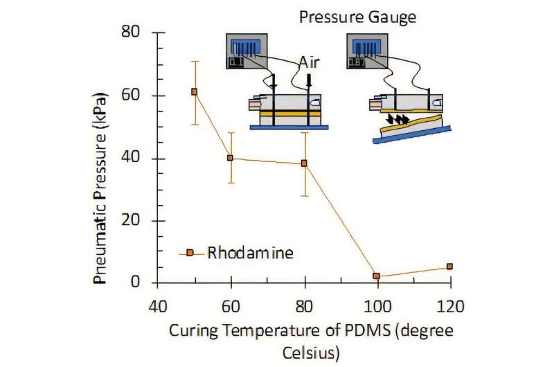This graph illustrates the maximum pneumatic pressure (rupture pressure in kPa) that PDMS SlipChip devices can withstand. Devices were cured at various temperatures (50°C to 120°C) and lubricated with 120 mPa·s silicone oil. The test, using a Rhodamine solution, shows that lower curing temperatures (e.g., 50°C) result in significantly higher sealing strength. Credit: Toyohashi University of Technology Low-viscosity oil boosts PDMS SlipChip: Enabling safer cell studies and gradient generation