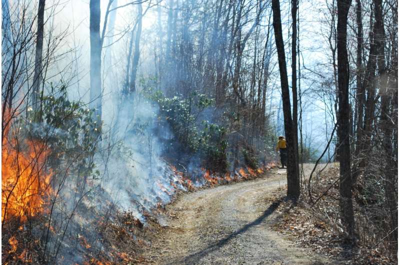 A new "geography of fire" defines southern wildfire risk