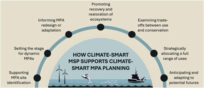 Leveraging synergies: how climate-smart MSP can support climate-smart MPA planning. Climate-smart MSP provides a broader strategic framework for existing and new MPAs and can further leverage synergies with MPA planning through multiple pathways. Credit: npj Ocean Sustainability (2025). DOI: 10.1038/s44183-025-00119-4 Climate-smart ocean solutions require distinguishing marine spatial planning and marine conservation planning