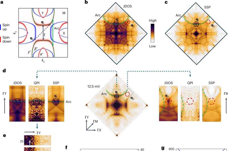 New era of magnetization: Research sheds light on future applications in spintronics and valleytronics