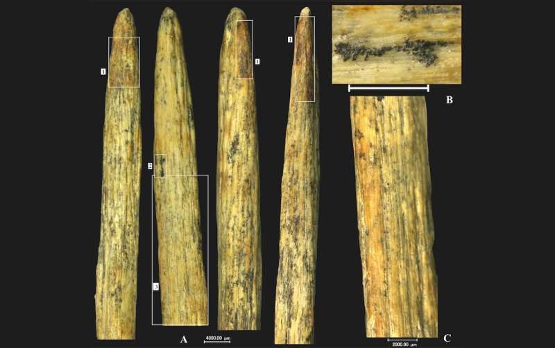 Four photographs of the tapered part of the specimen. White rectangles marked with numbers indicate: 1 – areas of red-brown coloration of the type caused by heat at the tip; 2 – location of the photograph of bitumen residue. Credit: Liubov V. Golovanova et al Ancient bone spear tip found in Russia is oldest in Europe and made by Neanderthals