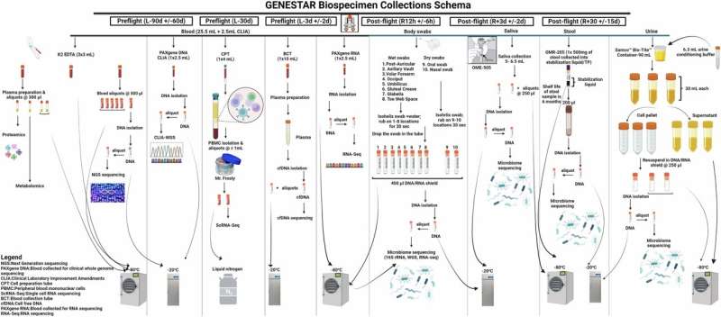 GENESTAR biospecimens collections schema. Credit: npj Microgravity (2025). DOI: 10.1038/s41526-025-00472-1 Ready for space travel? GENESTAR can track how space affects your health