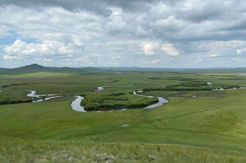 The vegetation in northern high latitudes was likely dense forest before cooling temperatures transformed it into grassland during the Late Miocene —a shift that further accelerated global cooling. Credit: Ran Zhang Vegetation changes accelerated climate shifts during the late Miocene, study finds