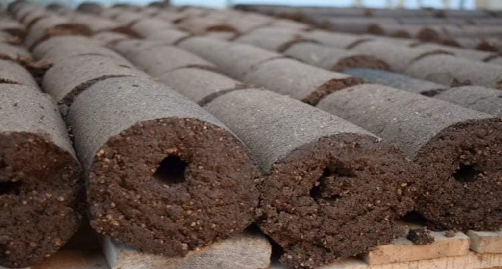 Turning Trash into Treasure: Entrepreneur Transforms Olive Waste into Green Fuel, Slashing CO2 Emissions by 33%