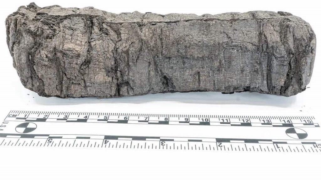 Unveiling the Past: Students Unlock Secrets of 'On Vices' – A Burnt Scroll from the Ashes of Pompeii's Lost Library