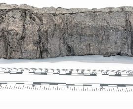 Unveiling the Past: Students Unlock Secrets of 'On Vices' – A Burnt Scroll from the Ashes of Pompeii's Lost Library