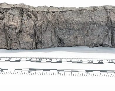 Unveiling the Past: Students Unlock Secrets of 'On Vices' – A Burnt Scroll from the Ashes of Pompeii's Lost Library