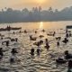 From Tragedy to Triumph: How One Man in Southwest India Is Saving Lives by Teaching 10,000 to Swim Free in Sacred Waters