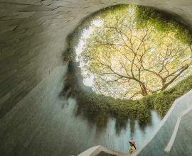 Through the Lens of Wonder: Discover the Six Inspiring Champions of the National Geographic Photography Competition
