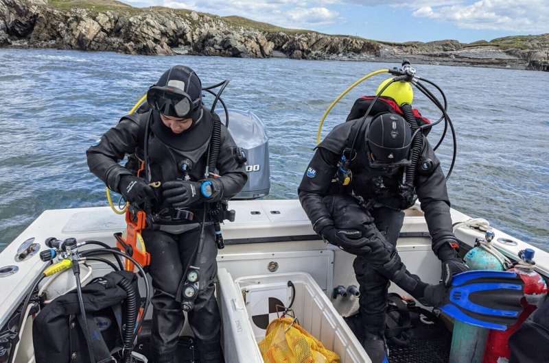 Lead author, Dara Yiu (left), and co-author Shane Farrell (right), prepare to dive near Ram Island as part of an extensive reef survey documenting kelp forest loss along the Maine coast. Credit: Rene Francolini, Bigelow Laboratory for Ocean Sciences Kelp forest collapse alters food web and energy dynamics in the Gulf of Maine