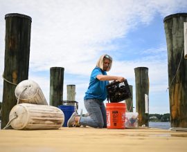 US Oyster Farmers Restore Nature's Powerful Water Purifiers
