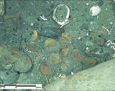 Uncovering the Secrets: What the San José Galleon's Coins Tell Us