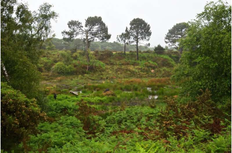 Cultivated peatlands account for some five percent of greenhouse gas emissions. Cultivated peatlands account for some five percent of greenhouse gas emissions