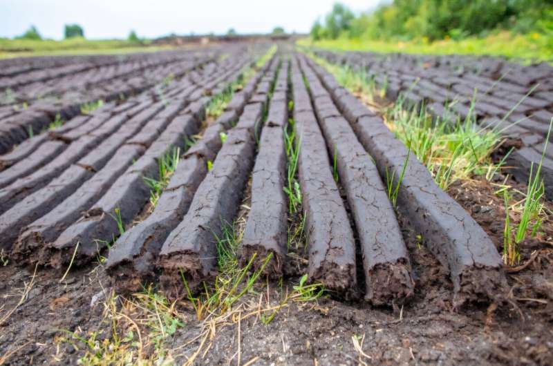 Irish turf dries in a field before being used as a traditional way of heating Irish homes in Carragh, west of Dublin. Irish turf dries in a field before being used as a traditional way of heating Irish homes in Carragh, west of Dublin