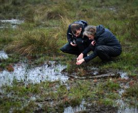 Exploring Ireland's Peatlands: A Key Step in Reducing Carbon Emissions