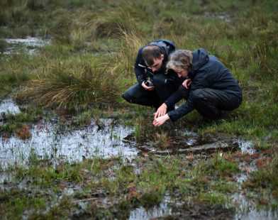 Exploring Ireland's Peatlands: A Key Step in Reducing Carbon Emissions