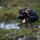 Exploring Ireland's Peatlands: A Key Step in Reducing Carbon Emissions