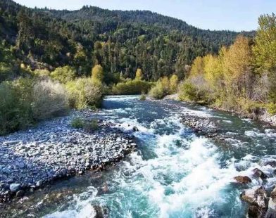 Restoration of Roots: Yurok Tribe Reclaims Ancestral Homelands in a Historic Triumph Over Dam Legacy