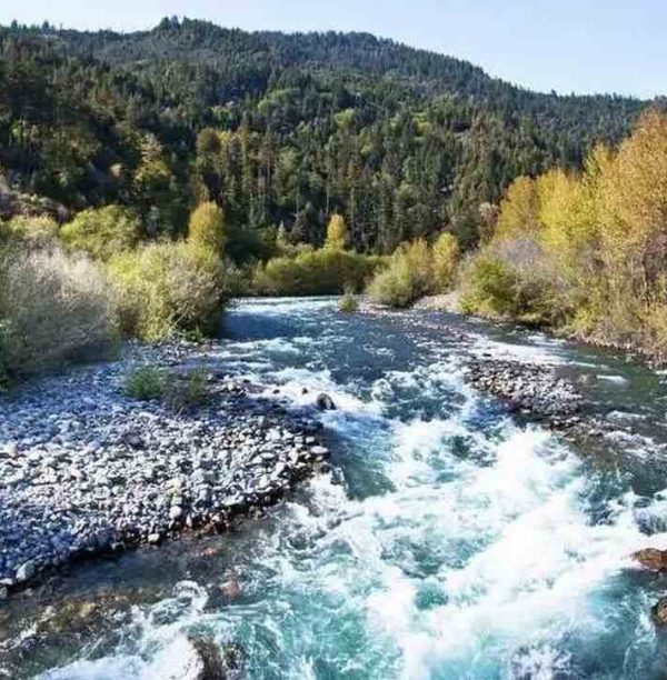 Restoration of Roots: Yurok Tribe Reclaims Ancestral Homelands in a Historic Triumph Over Dam Legacy