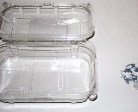 From Compost to Commerce: German Startup’s Groundbreaking Enzyme Offers New Hope for Plastic Recycling Revolution