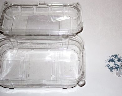 From Compost to Commerce: German Startup’s Groundbreaking Enzyme Offers New Hope for Plastic Recycling Revolution