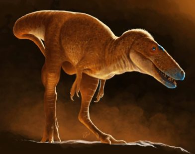 Fossil Find: Scientists Uncover New T-Rex Relative Hidden in a Mongolian Museum