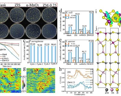 Boosting Bacterial Defense: A Simple New Method Using Special Manganese Compounds