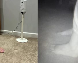 Transform Your Health: The At-Home Foot Scanner That Could Save Your Heart