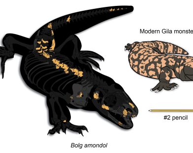 Ancient Giant Gila Monster Relative Discovered: A Peek into Its Fascinating Evolutionary Past