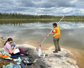 Rare Earth Metals: How They Affect Aquatic Life and Each Other’s Environmental Impact