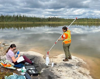 Rare Earth Metals: How They Affect Aquatic Life and Each Other’s Environmental Impact