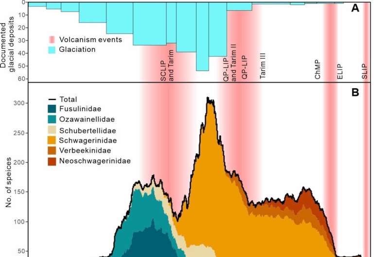 Credit: Science Advances (2025). DOI: 10.1126/sciadv.adv2549 Stable cooling fostered life, rapid warming brought death: scientists use high-resolution fusuline data reveal evolutionary responses to cooling and warming