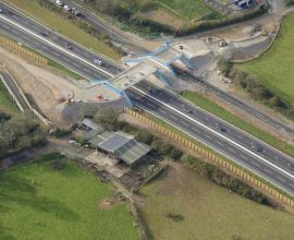 Bridging Lives: Cornwall's 'Badger Bridge' Aims to Unite Wildlife and Preserve Nature’s Harmony