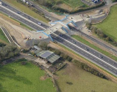 Bridging Lives: Cornwall's 'Badger Bridge' Aims to Unite Wildlife and Preserve Nature’s Harmony