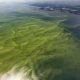 Warning: Mild to Moderate Algal Blooms Expected in Western Lake Erie