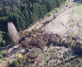 Why New Forestry Rules Won't Fix the Slash Issue