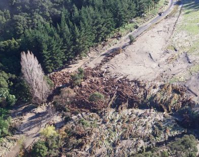 Why New Forestry Rules Won't Fix the Slash Issue
