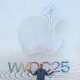 Apple Stays Cautious with AI Development Amid Wall Street Expectations 80x80