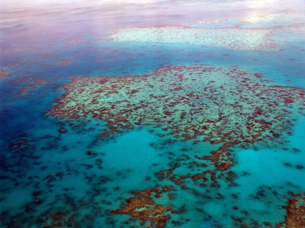 Can Ancient Coral Fossils Reveal the Future of the Great Barrier Reef Amid Rising Sea Levels?