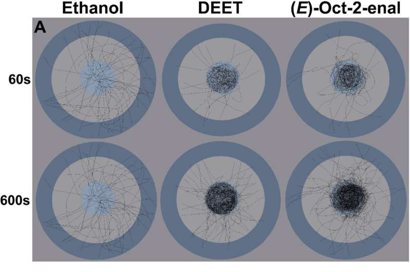 Longitudinal maps of tick movements attracted to Ethanol but repelled by DEET and the donkey skin secretion, (E)-2-octenal. Credit: UMass Amherst Research Discovers Donkey Skin Secretion Naturally Repels Deer Ticks