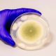 From Darkness to Hope: How a Deadly Tomb Fungus May Illuminate New Paths for Leukemia Treatment