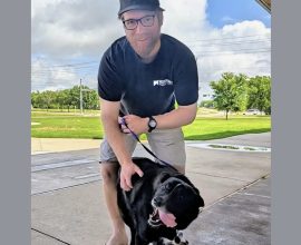 From Postman to Protector: Heartwarming Bond as Texas Mailman Adopts Dog of Late Vietnam Veteran