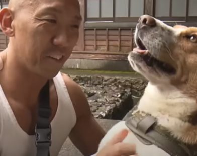 From Silence to Valor: The Tale of an Abandoned Dog Who Became a Monk's Guardian Against Grizzly Fear