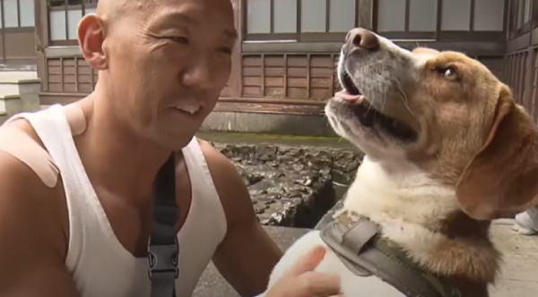 From Silence to Valor: The Tale of an Abandoned Dog Who Became a Monk's Guardian Against Grizzly Fear